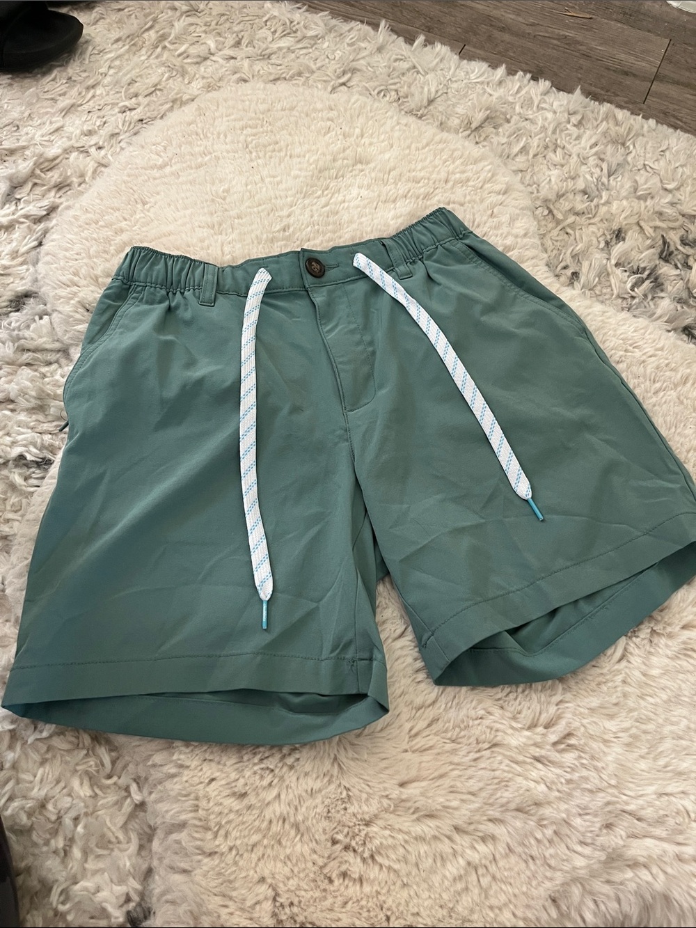 Chubbies small everywhere short